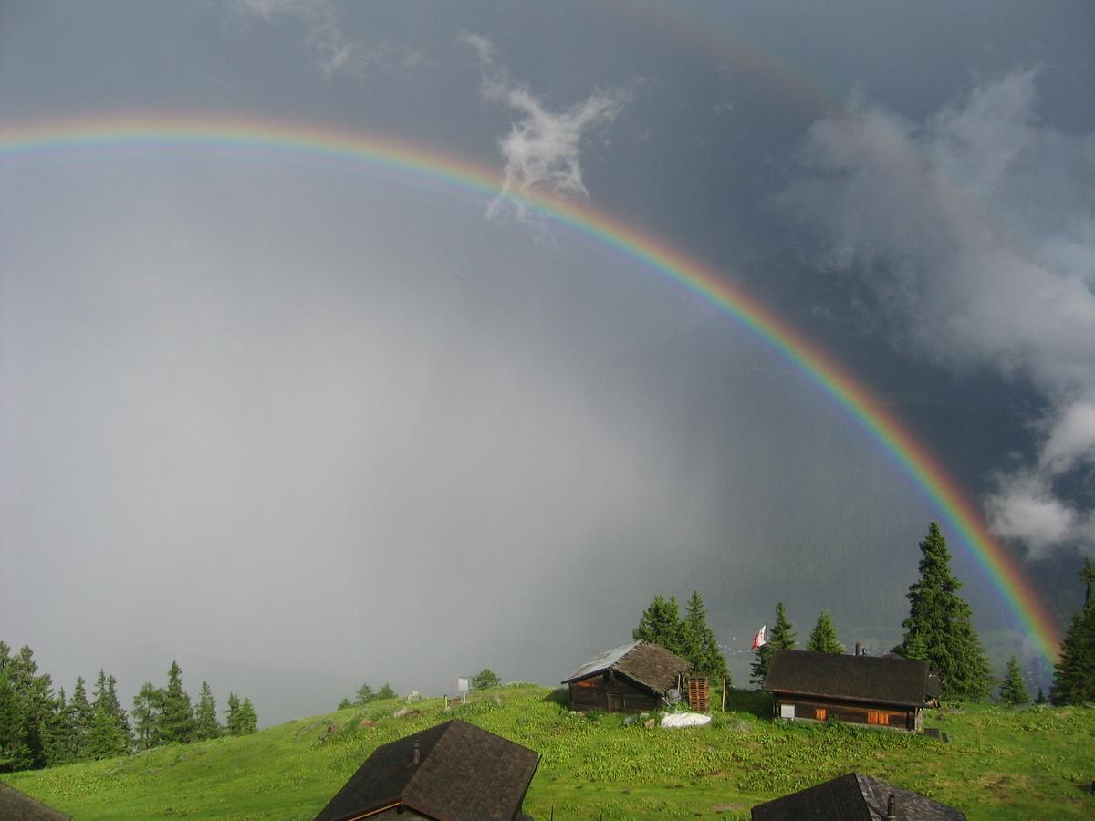 Alphuette Bielerchaeller Villa Fiesch Dış mekan fotoğraf