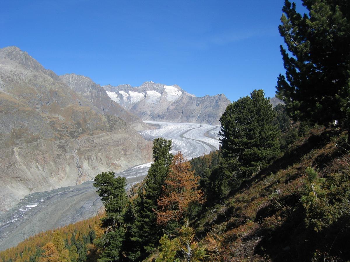 Alphuette Bielerchaeller Villa Fiesch Dış mekan fotoğraf